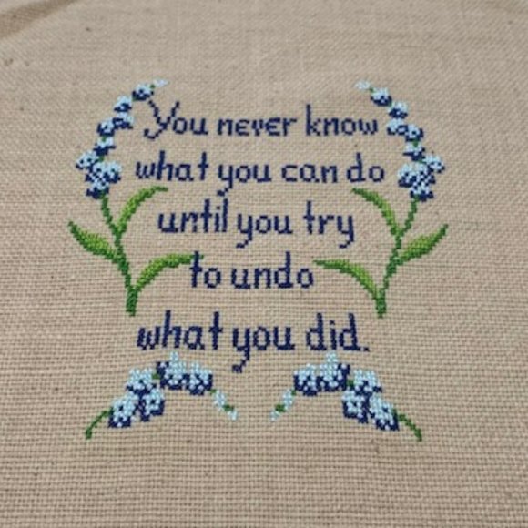 Other - You Never Know... Completed Unframed Cross Stitch
